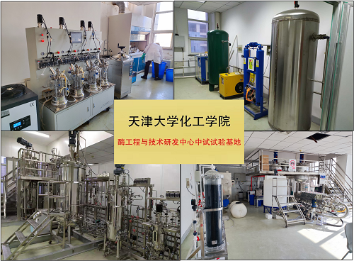 “一箭双雕”新技术，助力缓解白色污染——生物化工产品技术研发取得突破